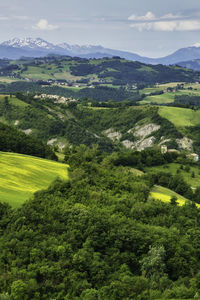 High angle view of trees on field against sky