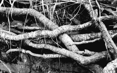 Close-up of fishing net