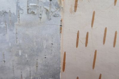 Close-up of text on wall