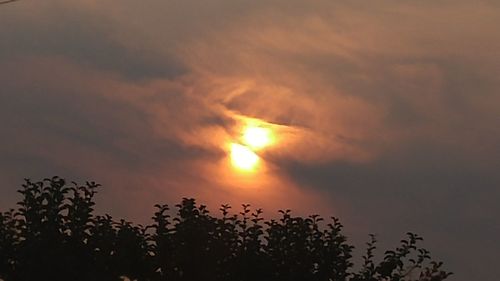 Low angle view of silhouette trees against sky at sunset