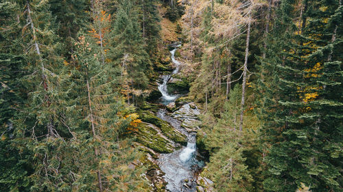 Stream flowing through rocks in forest