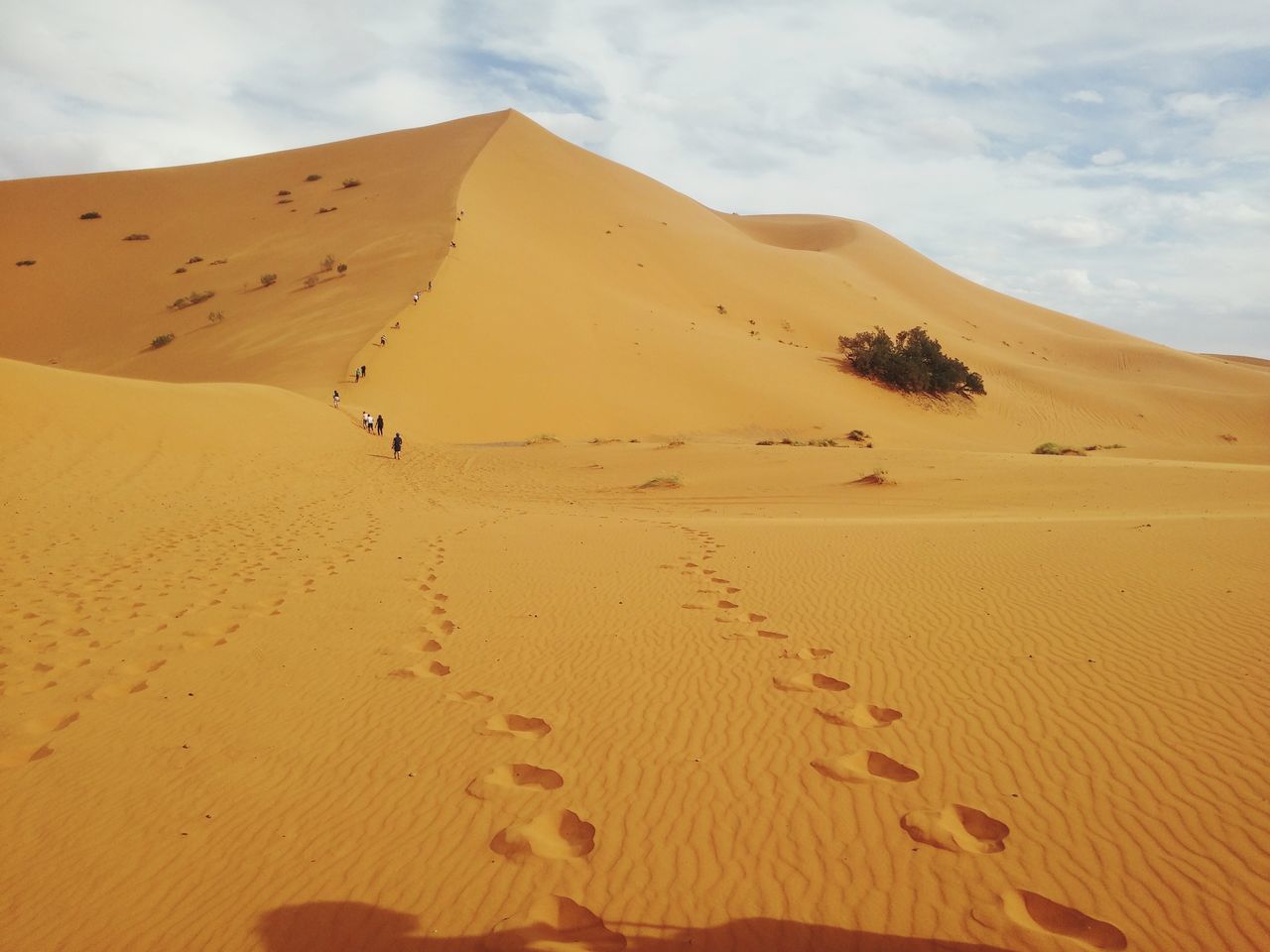 desert, sand, sand dune, arid climate, landscape, tranquility, tranquil scene, sky, barren, arid landscape, nature, scenics, beauty in nature, remote, non-urban scene, brown, extreme terrain, physical geography, arid, footprint