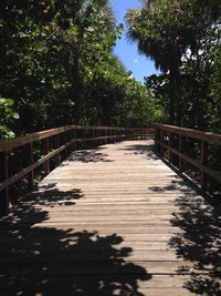 Boardwalk amidst trees