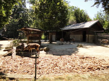 Built structure with trees in background