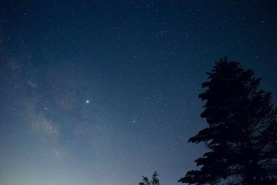 Low angle view of silhouette trees against sky at night