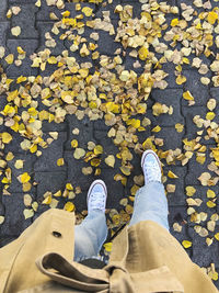 Low section of person wearing autumn leaves