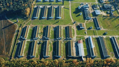 High angle view of buildings in forest