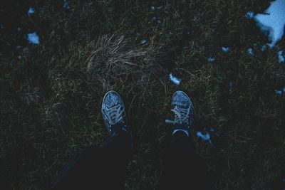 Low section of man standing on grass