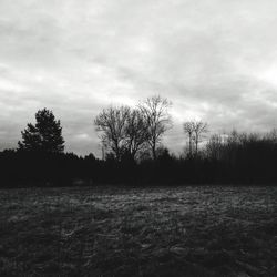 Trees on landscape against sky