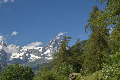 Low angle view of trees and mountains against sky