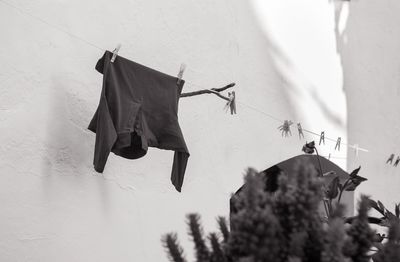 Low angle view of clothes hanging on clothesline