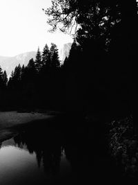 Silhouette trees by lake against sky in forest