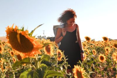 Woman standing amidst sunflowers against clear sky