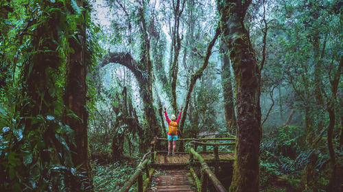 Rear view of man walking in forest