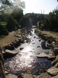 Scenic view of river in forest against sky