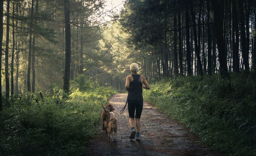 A woman walking in the forest with the dogs.