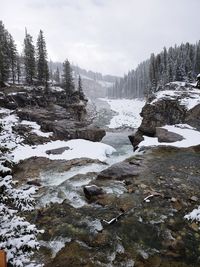 Scenic view of stream by snow covered trees against sky