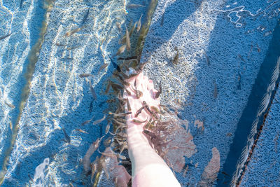 Low section of woman having fish spa pedicure