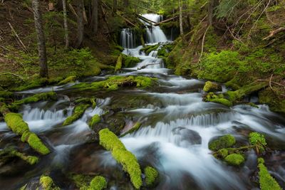 Stream flowing through rocks in forest