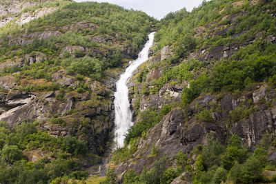 Scenic view of waterfall in forest