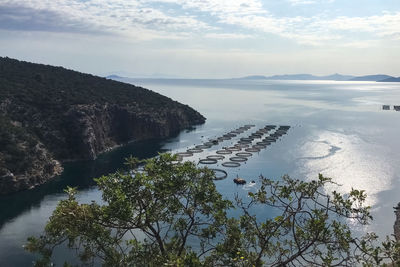 High angle view of trees by sea against sky