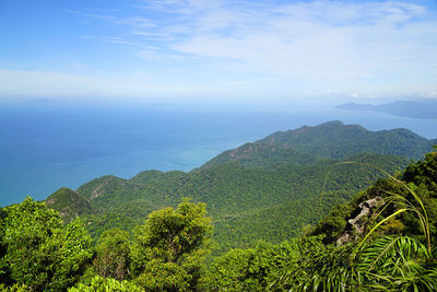 Scenic view of andaman islands