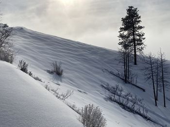 Scenic view of snow covered mountain against sky