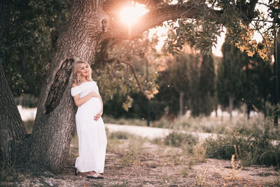 Smiling pregnant woman 20-24 year old resting under tree in park over sun set light at background. 