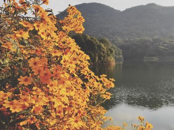 Scenic view of lake by mountain against sky