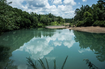 Reflection of trees in calm lake