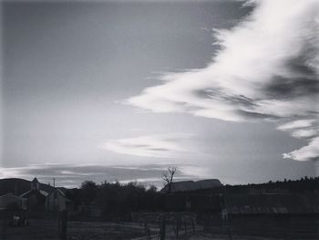 Low angle view of trees against dramatic sky