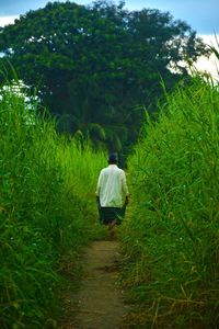 Rear view of woman standing on grass