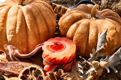 Cozy warm autumn composition with burning candle and pumpkins on knitted woolen plaid.