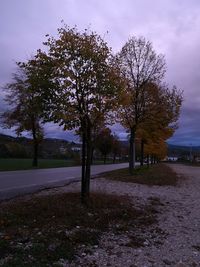 Trees on field against sky