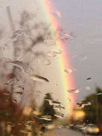 Raindrops on glass window against sky