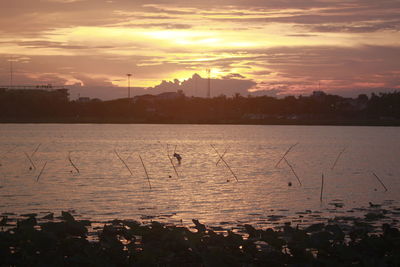 Scenic view of sea against orange sky