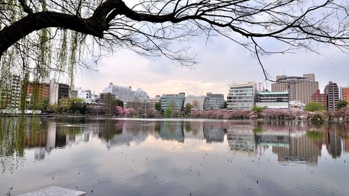 Buildings in city against sky