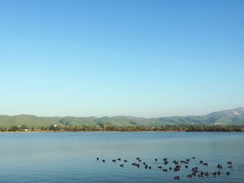 Scenic view of lake against clear blue sky