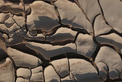 Full frame shot of cracked field