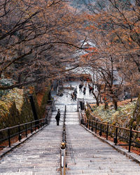 People walking on road