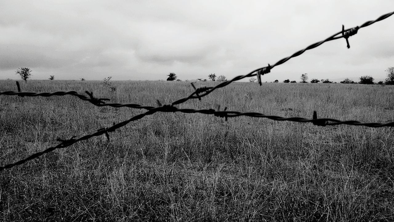 sky, barbed wire, fence, nature, field, tranquility, day, outdoors, protection, no people, cloud - sky, dry, landscape, safety, cloud, security, plant, twig, focus on foreground, tranquil scene