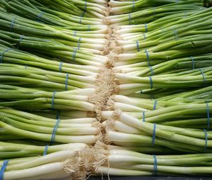 Full frame shot scallions for sale