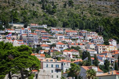 High angle view of houses and trees in town