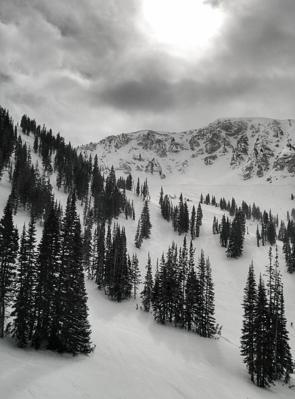 snow, winter, cold temperature, tranquil scene, weather, season, tranquility, mountain, scenics, beauty in nature, sky, mountain range, snowcapped mountain, covering, nature, tree, landscape, cloud - sky, non-urban scene, frozen