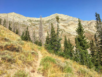 Scenic view of landscape against clear sky