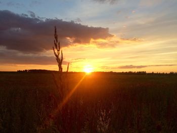 Scenic view of silhouette field against sky during sunset