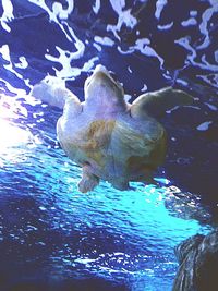 Close-up of water against blue sky