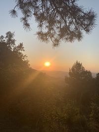 Scenic view of sunset