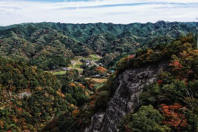 Scenic view of forest against sky