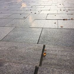 High angle view of paving stone